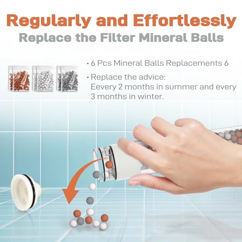 Filtered Shower Head with 71 Inch Hose (6 Count)