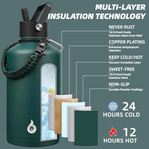 87oz Insulated Water Bottle with Straw Lid Stainless Steel Water Jug
