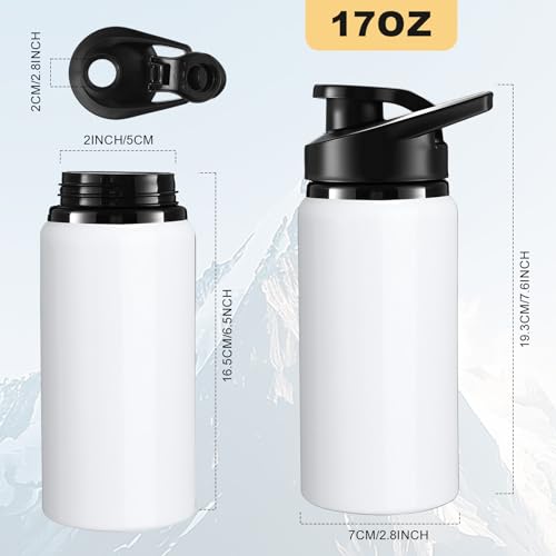Aluminum Water Bottle Bulk (12 Count)
