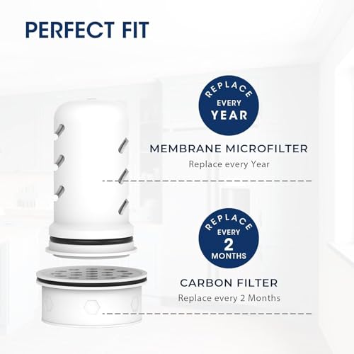 Water Filter Compatible with LifeStraw Pitcher