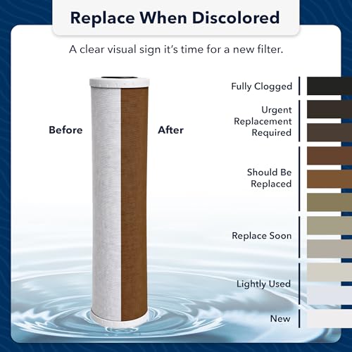US Water Systems Carbon Water Filter (2 Count)
