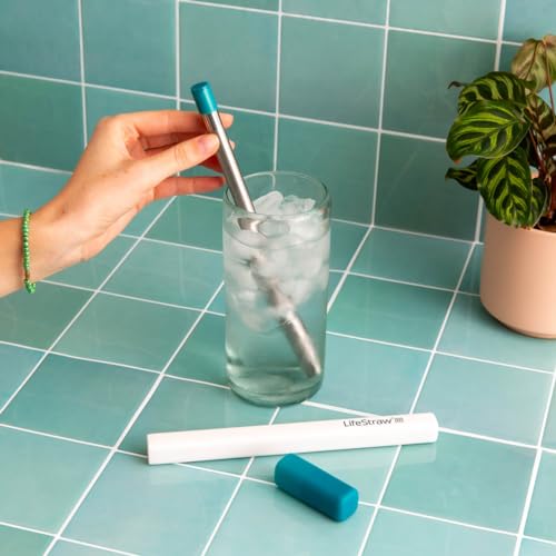 Sip Reusable Stainless Steel Water Filter Drinking Straw with Carry Case