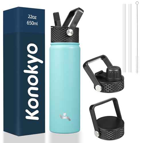 22 oz Insulated Stainless Steel Water Bottle with Straw Lid