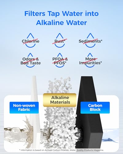 Alkaline WD F27 (2 Count)