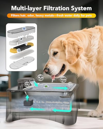 8.5L Elevated Dog Water Fountain with 4 Heights Adjustable