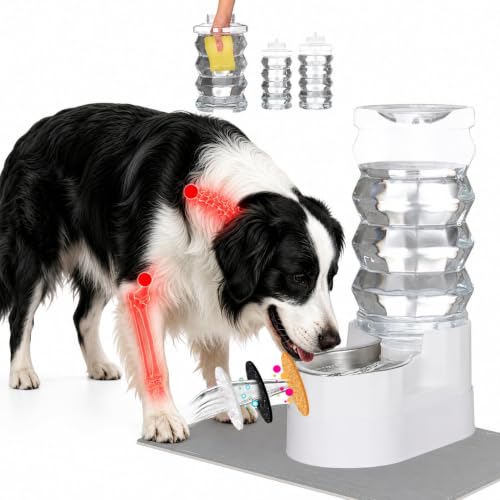9L Elevated Dog Water Dispenser