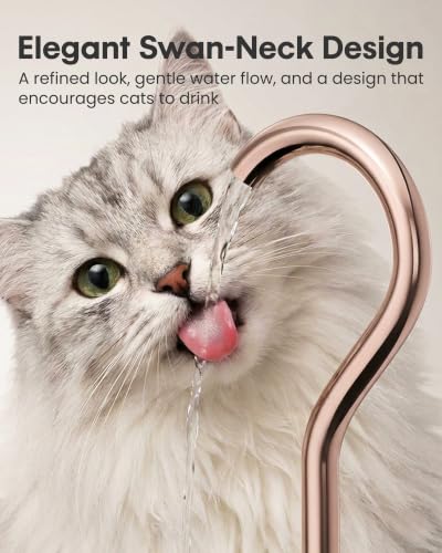 Stainless Steel Cat Water Fountain (135 Fl Oz)