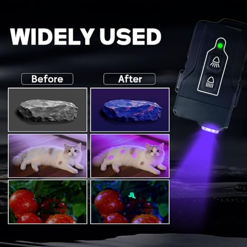 Flashlight Rechargeable with 365nm UV Black Light and White Light
