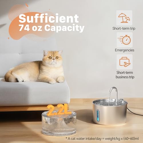 Cat Water Fountain Stainless Steel