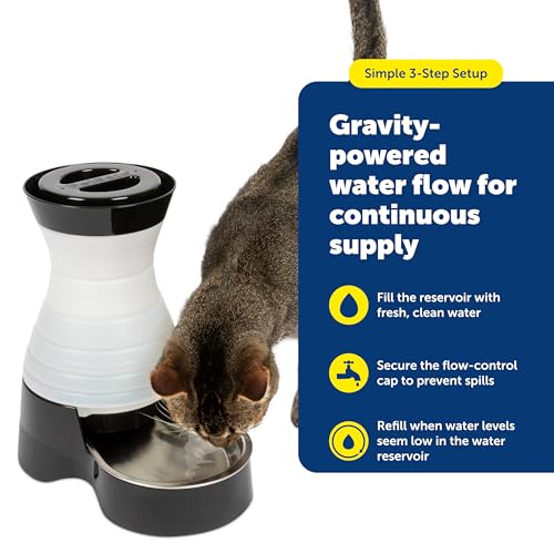 Healthy Pet Water Station