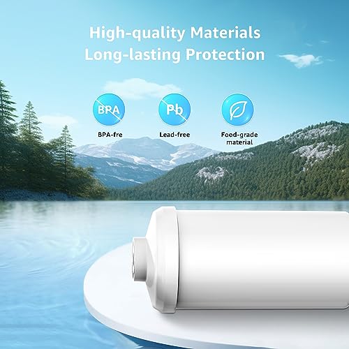 Fluoride Water Filter (2 Count)