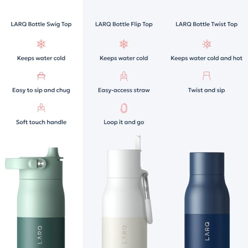 Swig Top Insulated Stainless Steel Water Bottle with Straw and Handle