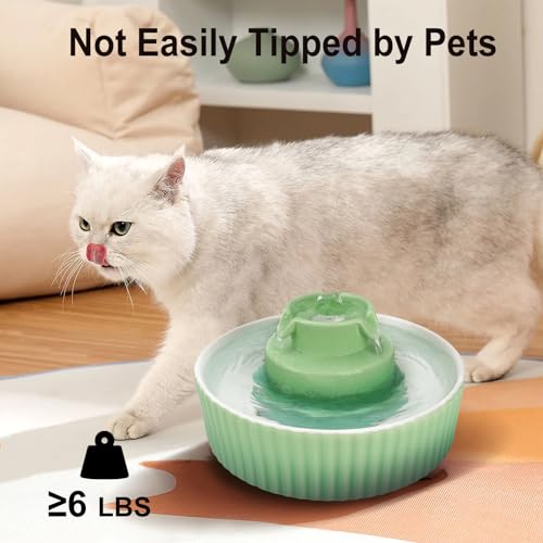 Ceramic Cat Water Fountain