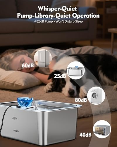 3 Gallon Stainless Steel Dog Water Fountain