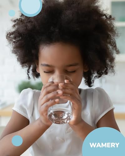 Alkaline Refrigerator Water Filter Replacement