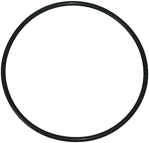 Two KleenWater (USA) Carbon Filters Compatible With GE FXSVC and GXSV10C, GXSL03C and GNSL05CBL SmartWater Dual Stage Water Filtration Systems, Includes 2 o-rings