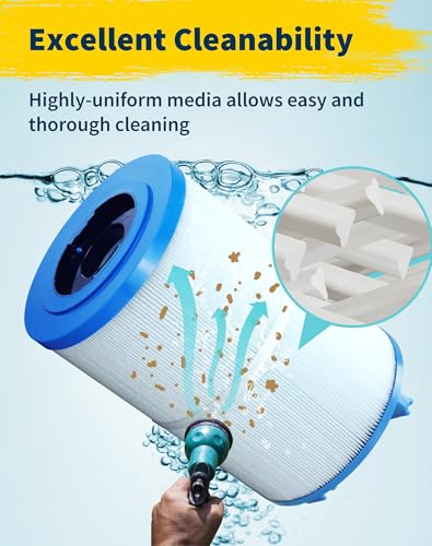 Spa Filter Cartridge Compatible with Unicel C (2 Count)