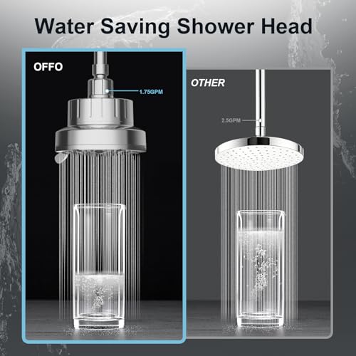 Filtered Shower Head