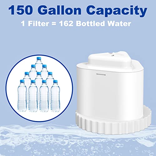 2 Pack Water Filter Compatible with Epic Water Pitcher
