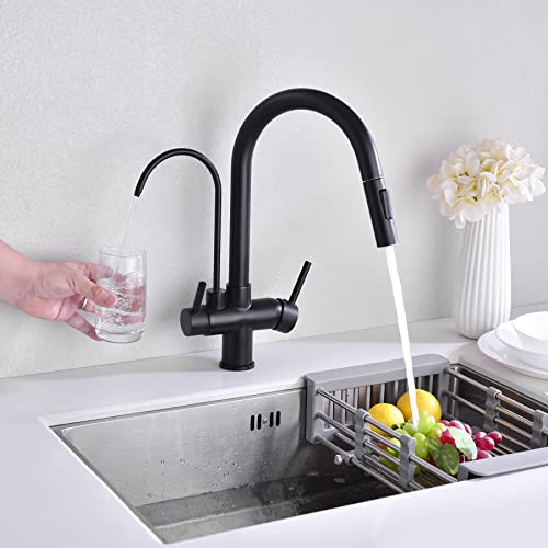 Matte Black Kitchen Faucet with Pull Down Sprayer