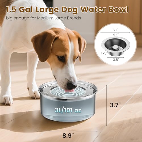 Dog Water Bowl No Spill
