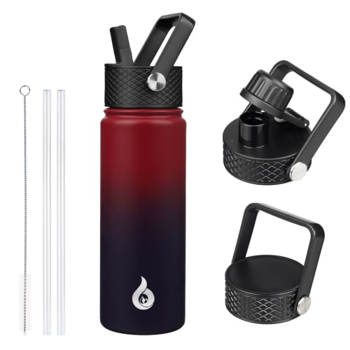 22oz Insulated Water Bottle with Straw Lid