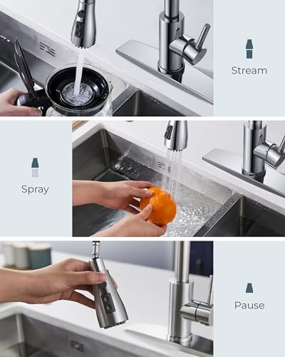 Kitchen Faucet with Pull Down Sprayer