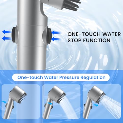 Filtered Shower Head with Handheld