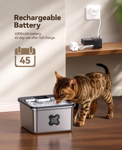 Cordless Cat Water Fountain