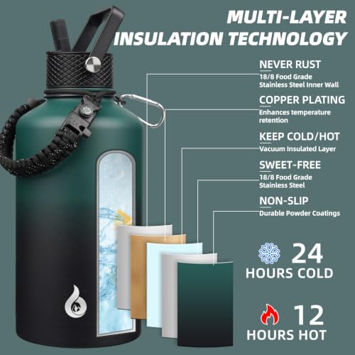 87oz Insulated Water Bottle with Straw Lid Stainless Steel Water Jug