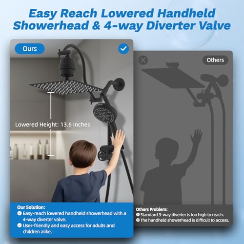 10" Dual Filtered 10" Rainfall Shower Head with Handheld 10