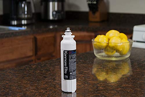 9490 Original OEM Refrigerator Water Filter (2 Count)