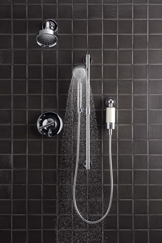 30646 CP Aquifer Shower Water Filtration System