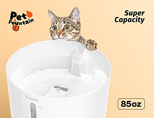 Cat Water Fountain