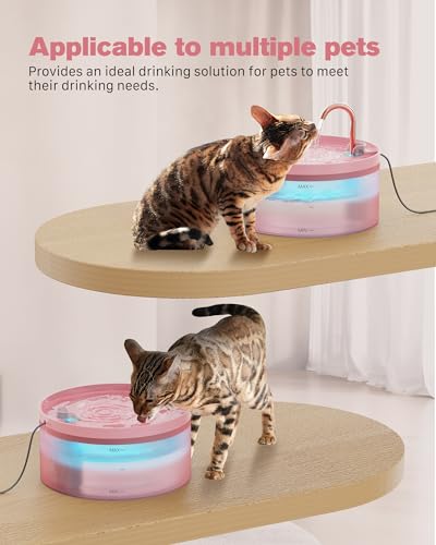 Pink Cat Water Fountain