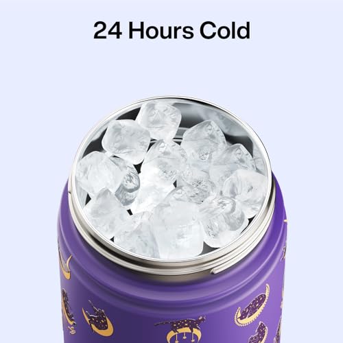 Insulated Water Bottle with Straw Stainless Steel Water Bottle