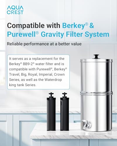 Gravity Water Filter (2 Count)