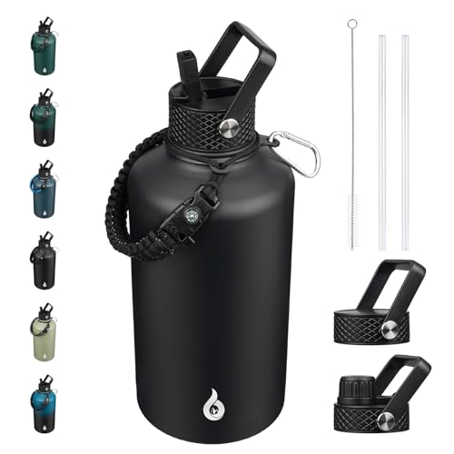 87oz Insulated Water Bottle with Straw Lid Stainless Steel Water Jug