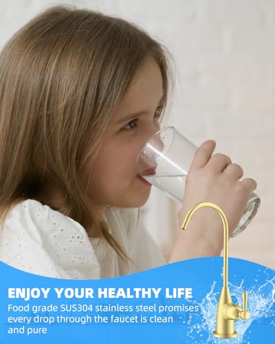 Drinking Water Faucet for Bar and Kitchen Sink