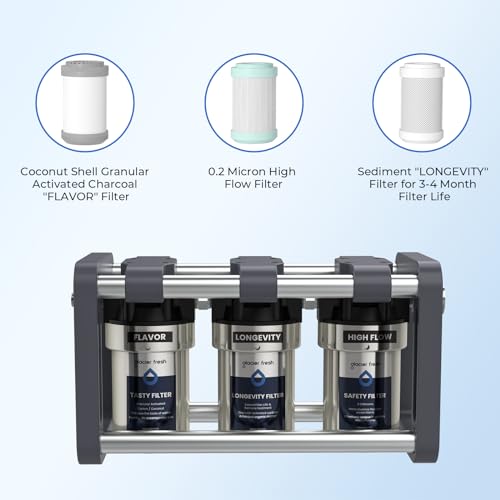 Replacement Filter for GFRVWP03 RV Water Filter System 2 set (6 Count)