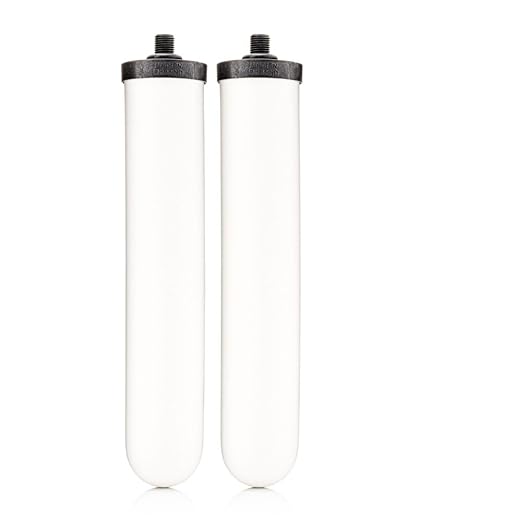 Doulton W9123053 9501 10" UltraCarb NSF Certified BSP Thread Ceramic Filter Candle Element Cartridge - 2 Pack