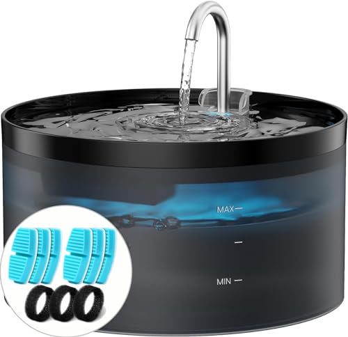 Black Cat Water Fountain