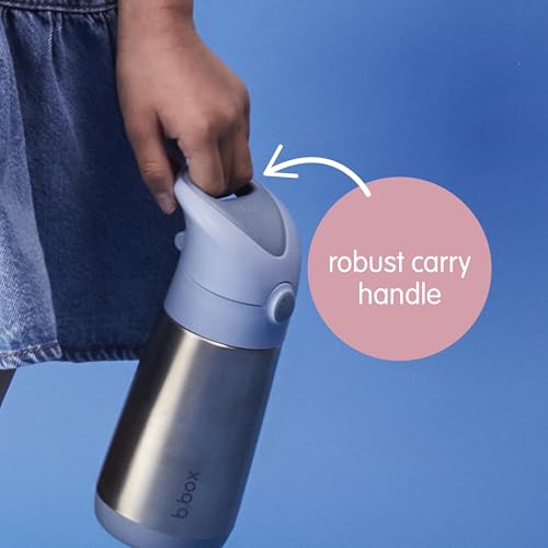 Looney Tunes Insulated Water Bottle for Kids