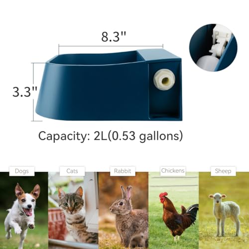 Automatic Water Dispenser for Dogs