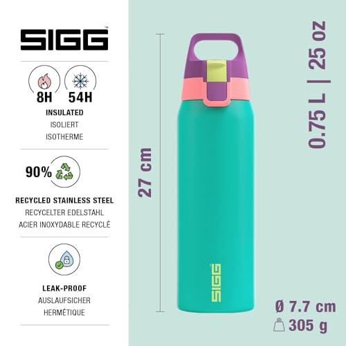 Insulated Water Bottle