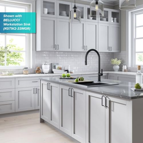 Oletto High Arc Single Handle Pull