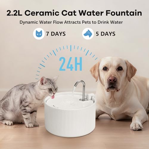 Upgrade 2.2L 78oz Ceramic Cat Fountain (78 Fl Oz)