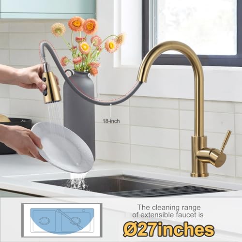 Brushed Gold Kitchen Faucet With Sprayer
