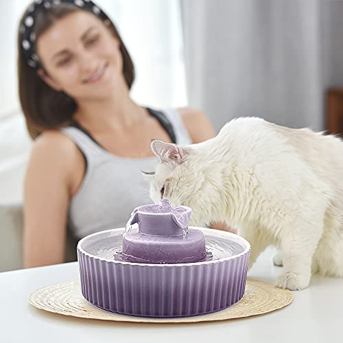 Cat Water Fountain (70 Fl Oz)