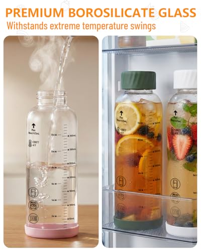 Borosilicate Glass Water Bottles with Stainless Steel Lid 12 oz (6 Count)